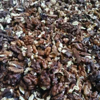 مغز گردو فسنجونی