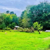 اجاره کوتاه مدت ویلای دوخواب کیسوم استانه|اجارهٔ کوتاه‌مدت ویلا و باغ|لاهیجان, یوسف آباد|دیوار