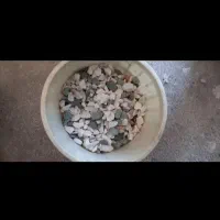 آکواریوم و ماهی|ماهی|زنجان, |دیوار