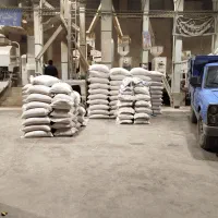 200کیلو برنج درجه یک از تولید به مصرف به شرط پخت