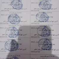 بلیط استخر کارگران استخر لاله