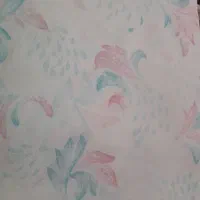 لباس|لباس|چهارباغ, |دیوار