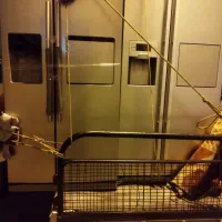 ساید و یخچال دوقلو/معمولی سالم،خراب میخر.یم /فروش