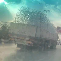 حفاظ دیوار نرده سه شاخ حفاظ روی دیوار بوته ای|خدمات پیشه و مهارت|مشهد, الهیه|دیوار