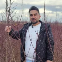 نهالستان گردو دیرگل و پربار پالیز