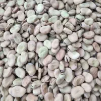 باقله درشت وتمییز