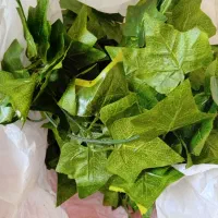 5ریسه برگ تزئینی نو