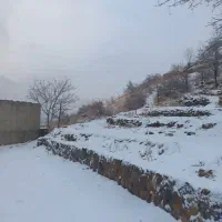 زمین شمشک دربندسر|فروش زمین و ملک کلنگی|تهران, شهرک امیرالمومنین|دیوار