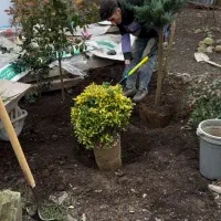 فضای سبز محوطه سازی|خدمات باغبانی و درختکاری|تهران, زعفرانیه|دیوار