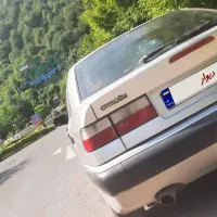 زانتیا نقره‌ای