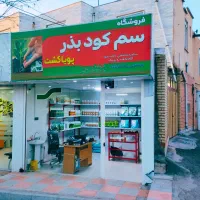 بذر مال تخصصی گندم|خدمات باغبانی و درختکاری|دهگلان, |دیوار
