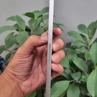 iPad mini (17 Pro)|تبلت|تهران, جردن|دیوار
