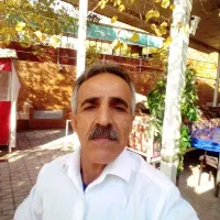 شاطر سیروس هستم