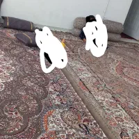 دو عدد فرش دوازده متری