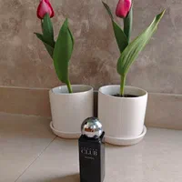 عطر آزارو کلاب زنانه اصل ۷۵ میل ۵۰ درصد زیر قیمت|آرایشی، بهداشتی، درمانی|تهران, سنائی|دیوار