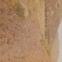 معدن