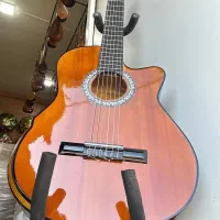 گیتار سلین ودایموند|گیتار، بیس، امپلیفایر|گرگان, |دیوار