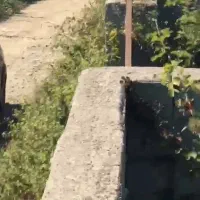 ۳۰۰ زمین  با بر ۱۲ متر قابل ساخت