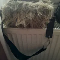 سه تا کیف|کیف، کفش، کمربند|خرم‌آباد, |دیوار