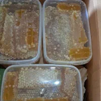 عسل طبیعی کوهستان تالش