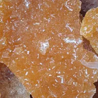 نبات یزد|خوردنی و آشامیدنی|زاهدان, |دیوار