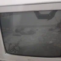 فروش تلویزیون