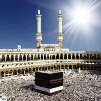 فیش واحب ۸۶