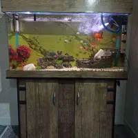 آکواریوم.شیشه خم .با لوازم