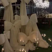 فروش و اجاره انواع پاپیون|زیورآلات و اکسسوری|هشتگرد, فاز ۲ مهستان|دیوار