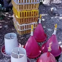 قفس مرغی ابخوری اوتماتیک ودانه خوری