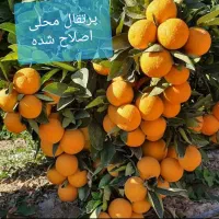 تغذیه اصولی کشت و کار و باغات|خدمات باغبانی و درختکاری|کاشان, لتحر|دیوار