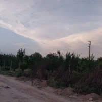 800متر-زمین-باغ-سند-تک-برگ