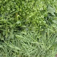 سبزی خورشتی رامهرمز