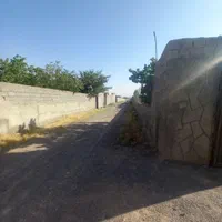 زمین ۵۱۶ متری سرمایه گزاری درخت کاری ساخت ساز|فروش زمین و ملک کلنگی|مشهد, خین عرب|دیوار