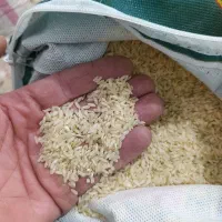 برنج کشت اول درجه یک