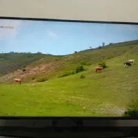 فروش تلوزیون ال ای دی ۵۰ اینچ نکسار|تلویزیون و پروژکتور|مبارکه, |دیوار