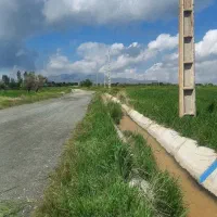 فروش یامعاوضه باغ انگورو زمین کشاورزی درصالح آباد