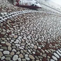 معاوضه فرش