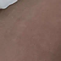 موکت|موکت|عسلویه, |دیوار