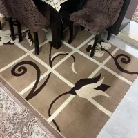 فرش ۵۰۰ شانه|فرش|رشت, کوی عرفان|دیوار