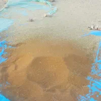 یونجه و بذر یونجه|حیوانات مزرعه|رودخانه, |دیوار