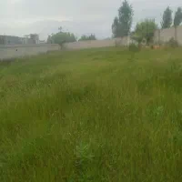 1650مترزمین-براصلی-جاده-جویبار