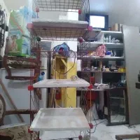 قفسه فانتزی