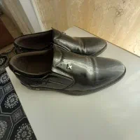 کفش مجلسی مردانه|کیف، کفش، کمربند|مشگین شهر, |دیوار