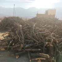 چوب سیب|خدمات باغبانی و درختکاری|تهران, سلسبیل شمالی|دیوار