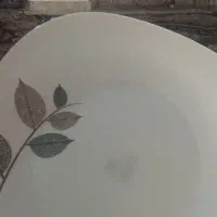 چهار دست آرکوپال شش نفری