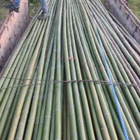 چوب زیبا برای هر چیزی ک ب ذهنتان خطور کند|خدمات باغبانی و درختکاری|شیراز, باغ تخت|دیوار