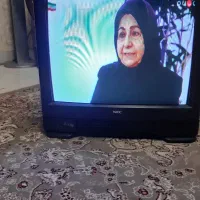 تلویزیون ۲۱ اینچ NEC