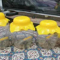 جای ادویه|ظروف نگهدارنده، پلاستیکی، یک‌بارمصرف|لاهیجان, گلستان|دیوار