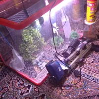 اکواریوم ماهی